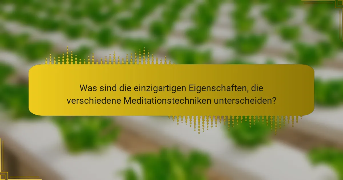 Was sind die einzigartigen Eigenschaften, die verschiedene Meditationstechniken unterscheiden?