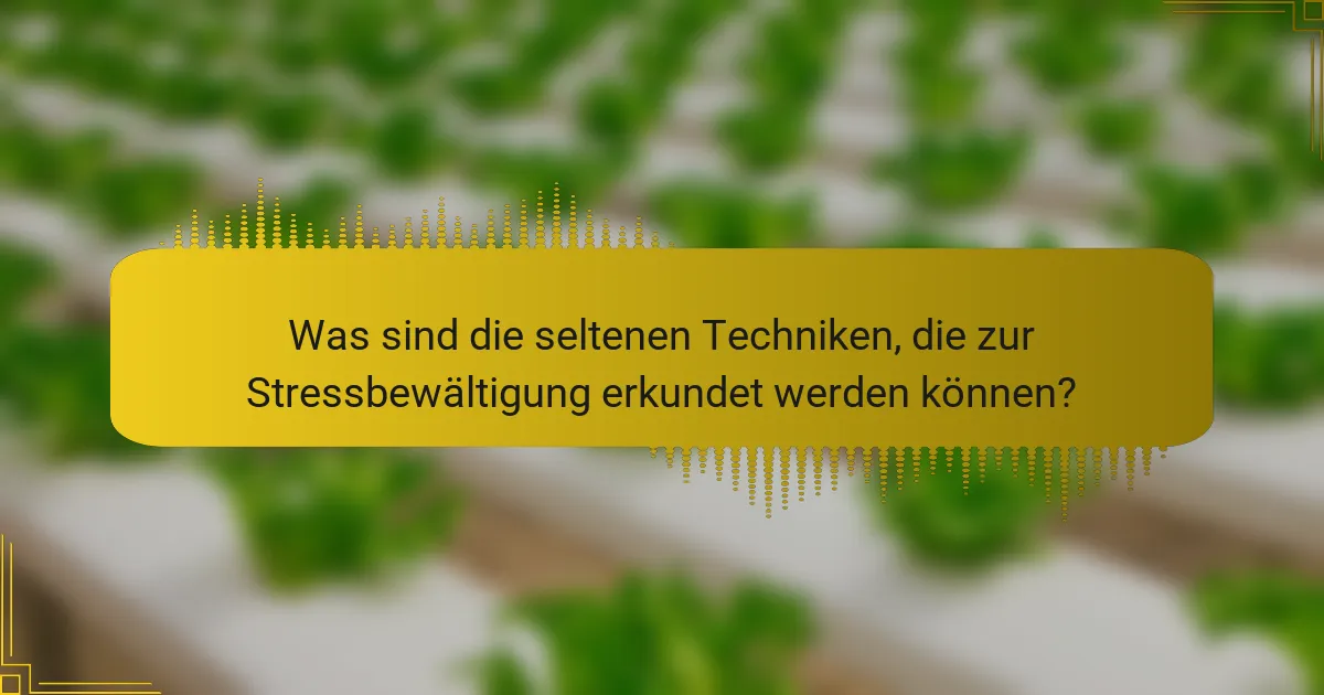 Was sind die seltenen Techniken, die zur Stressbewältigung erkundet werden können?